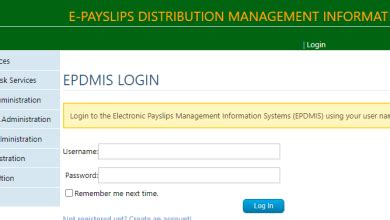 smart zambia e payslip self-service portal